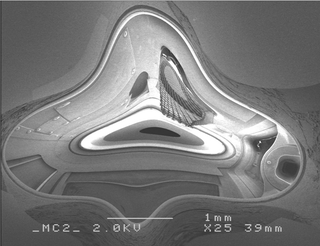 Illustration for article titled Nanometer-Wide PicoToilet, Plus a Gallery of Micrographs